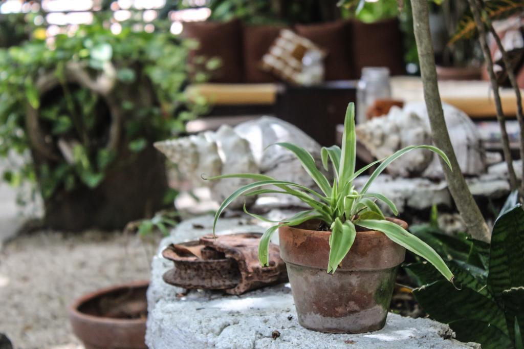 Secret Garden Tulum Hotel Exterior photo