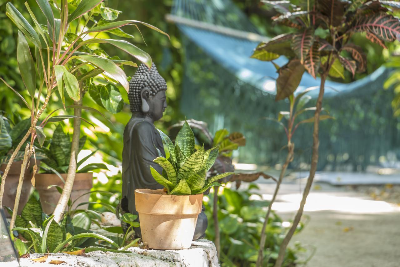 Secret Garden Tulum Hotel Exterior photo